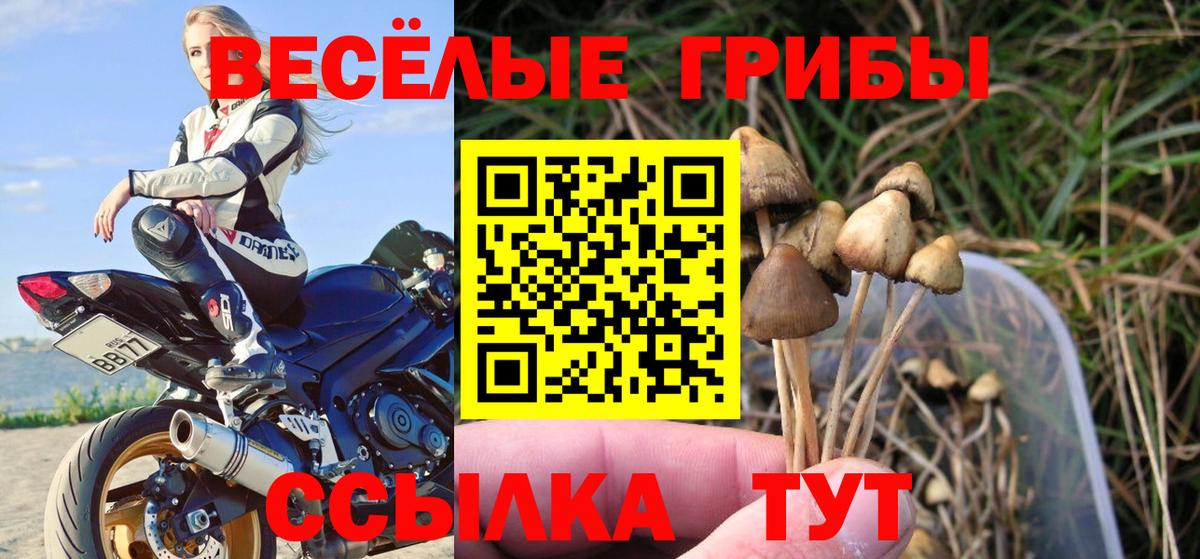 Псилоцибиновые грибы GOLDEN TEACHER  Вход с VPN  сколько стоит  Воткинск 